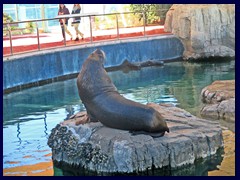 L'Oceanogràfic Oceanarium 127